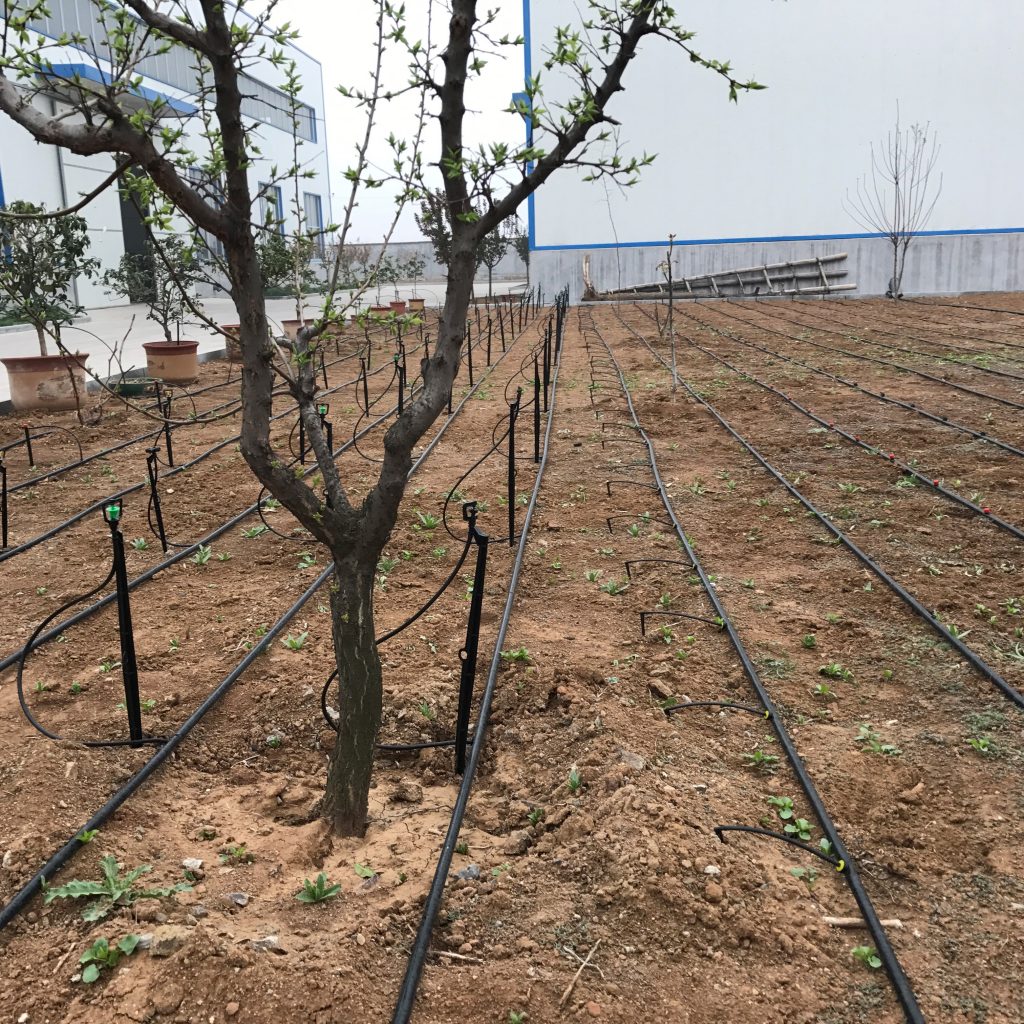 園林噴灌、滴灌、微噴