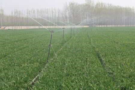 園林噴灌、滴灌、微噴
